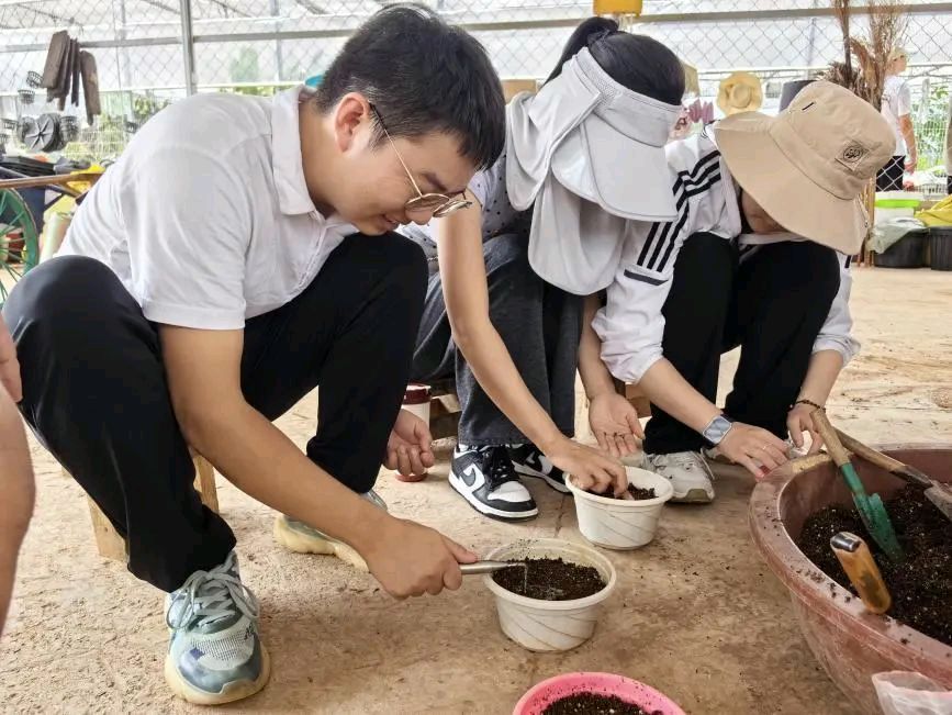 【允美教育集团 】“党建红”引领“生态绿”，党团共护绿色家园（图20）