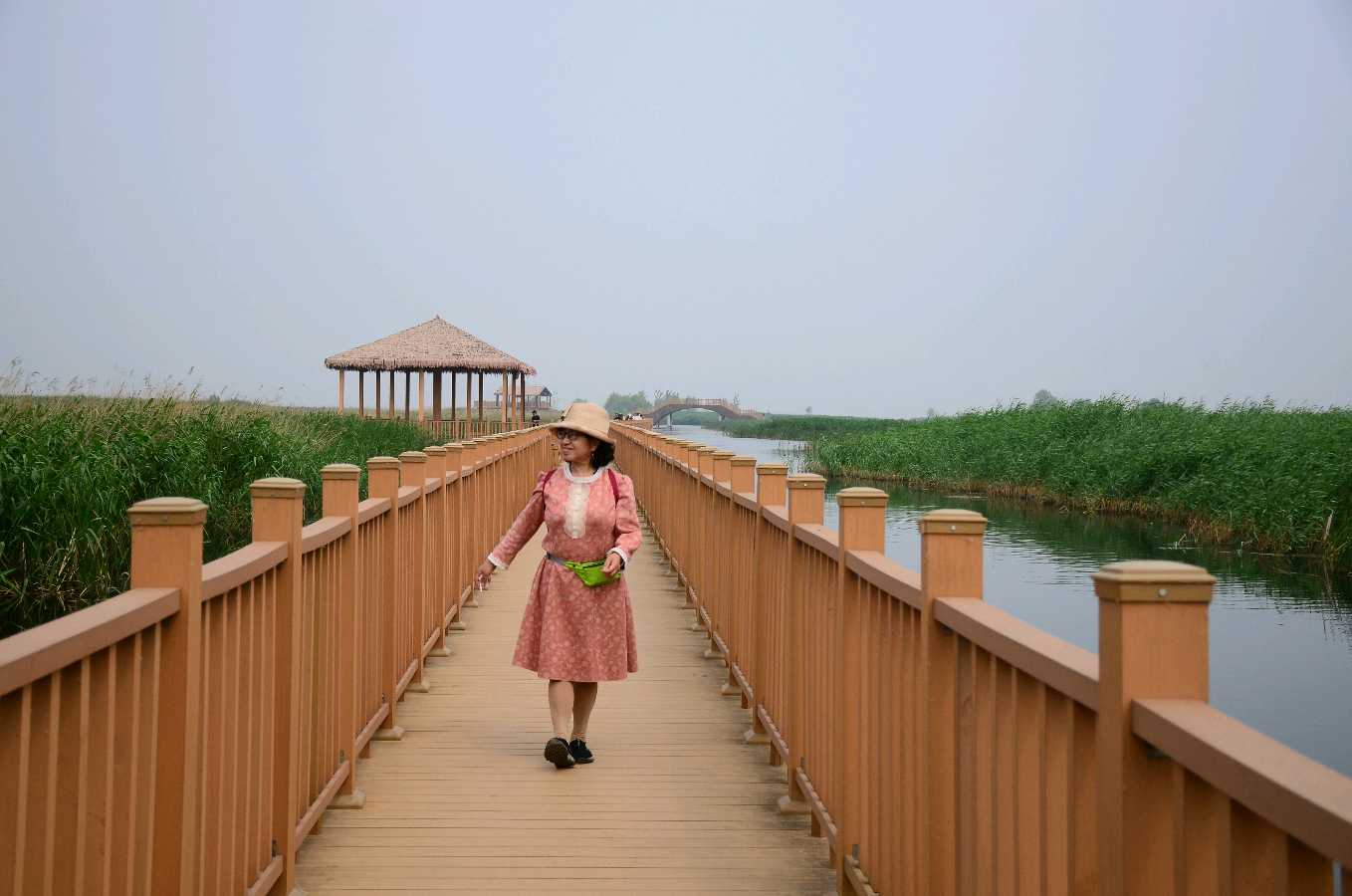 白洋淀芦苇荡（图4）