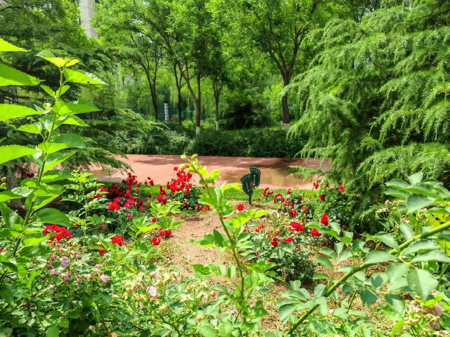 【都市头条向幸福出发编辑部】第11461期 咏景诗二首（图2）