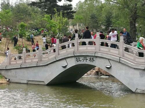 再游牡丹园 作者：闫明辉 朗诵：张万娟（图5）