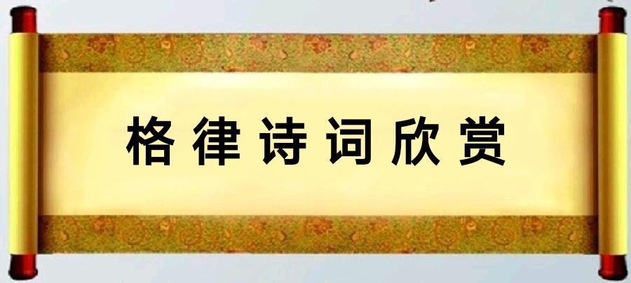 枫林醉:集联绝律一百首（三）15一22/中华诗艺社黑龙江分社推荐（图3）