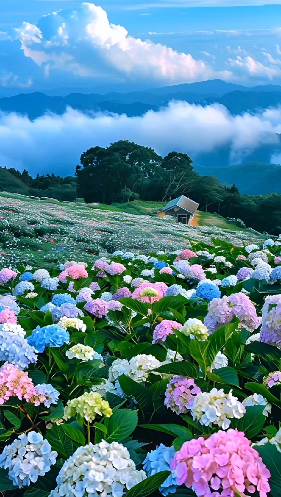 排律-感夏～诗||杨景儒（图14）