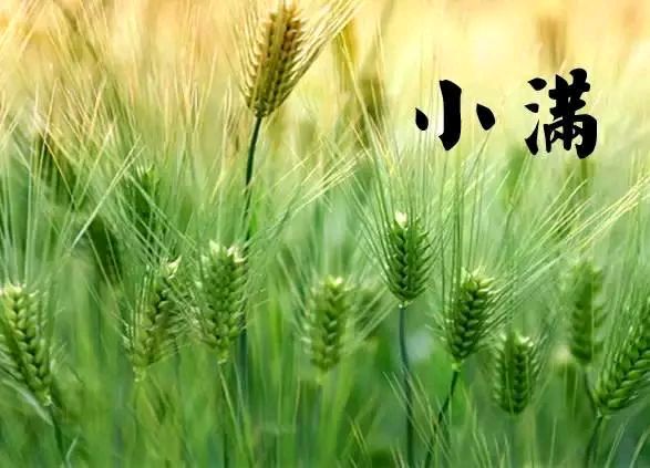 致小满文/林水火（福建）（图3）