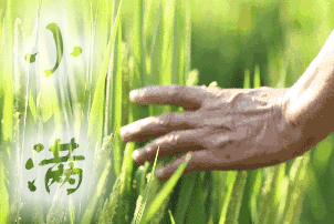 《七律小满》作者:郭小林 配乐:《诗画音乐》 [中国现代诗歌文化传媒]（图6）