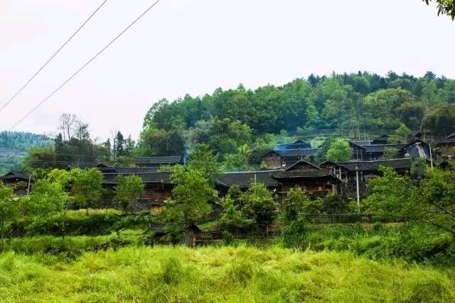 《著名现代古诗人创作七律几首鉴赏》作者:刘文波 配乐:《诗画音乐》 [中国现代诗歌文化传媒]（图7）