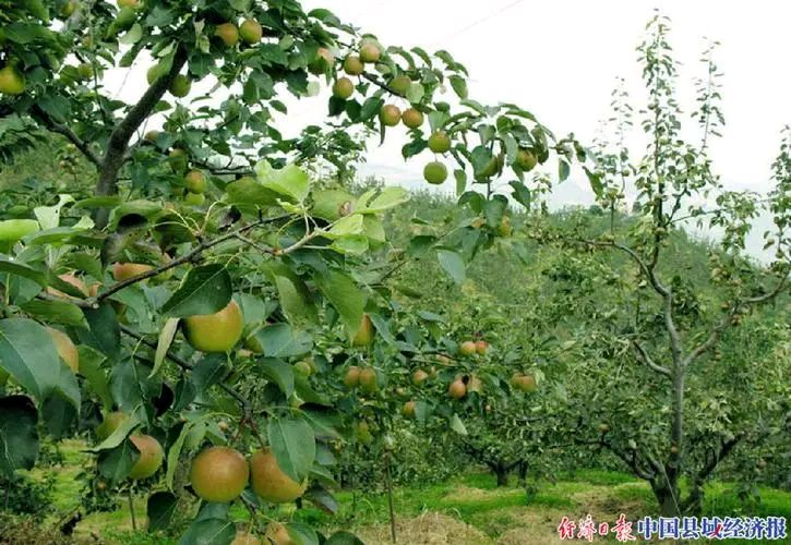 年广林获奖作品选‖巴彦诗词楹联协会【690】（图10）