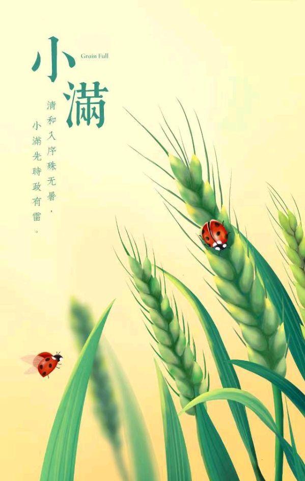 【国学雅韵社】小满感吟张雅琼（图2）