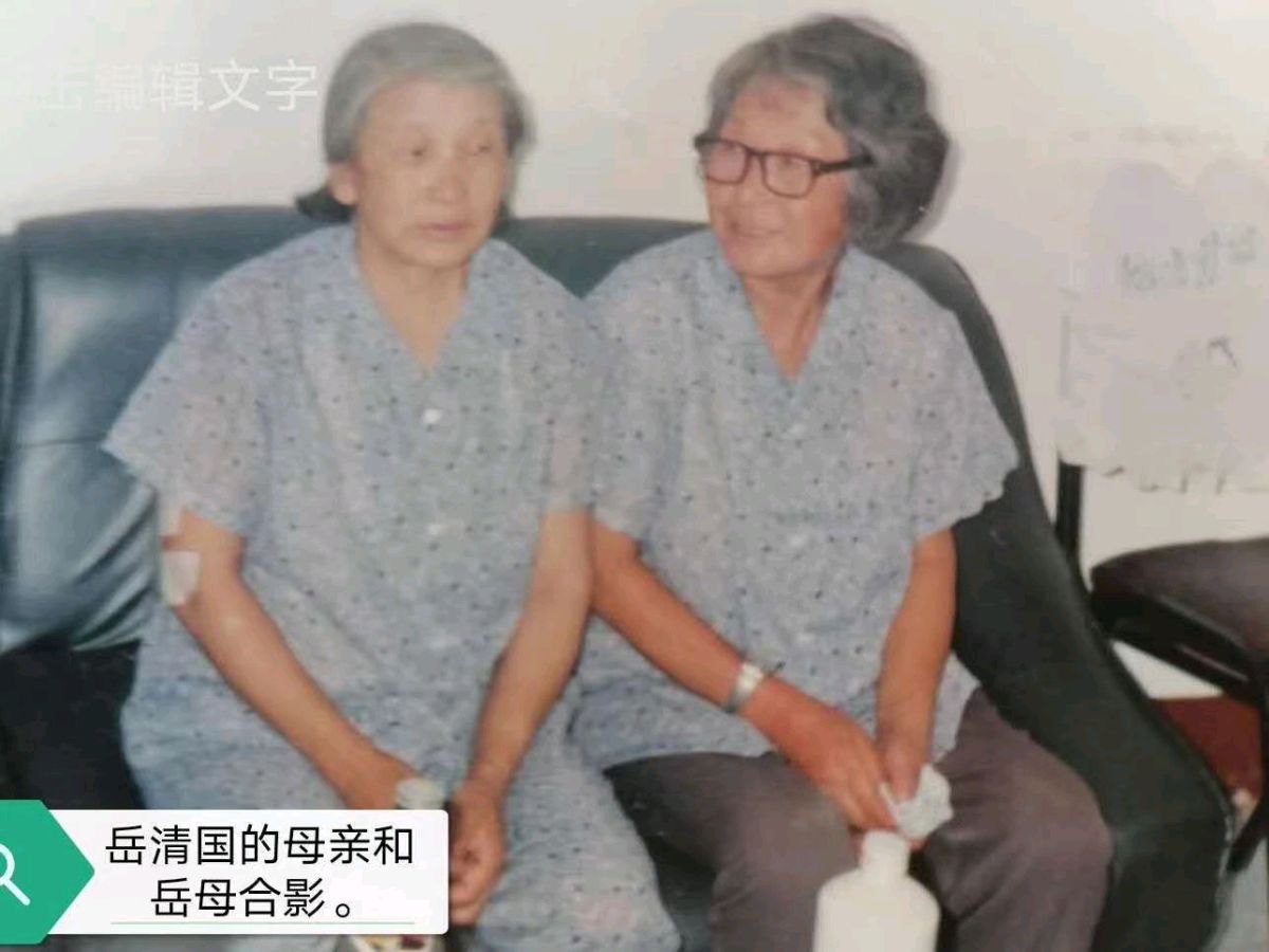 作者：岳清国《赞赡养公婆抚养八个子女的母亲》10042期~新京都文艺（图5）