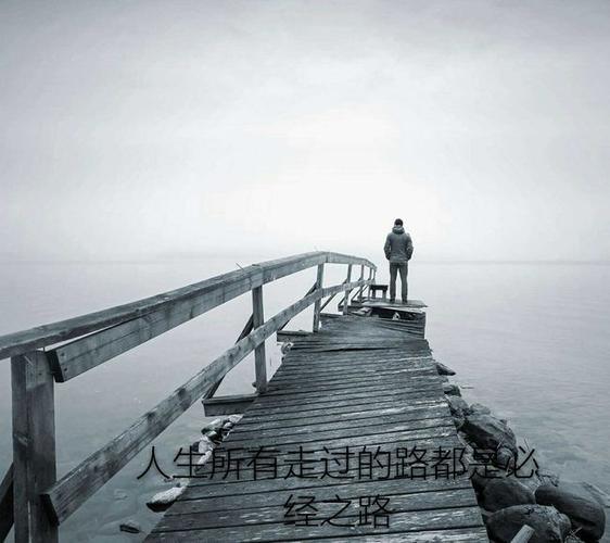 【新山东文学社】《我曾经走过（外一首）》作者/于向阳 主播/苏宁（图5）