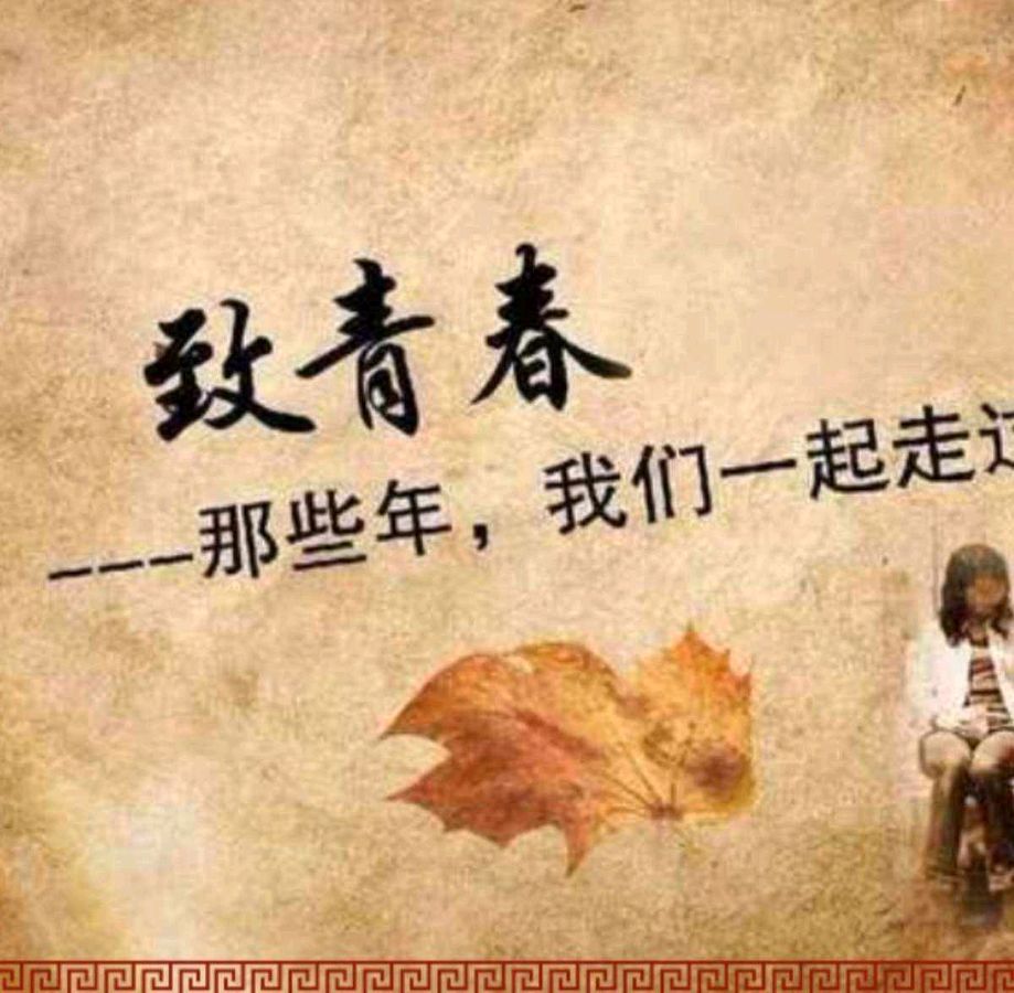 【新山东文学社】《古稀良会话同窗（十二首）》作者/江淮闲客 主播/天空（图3）