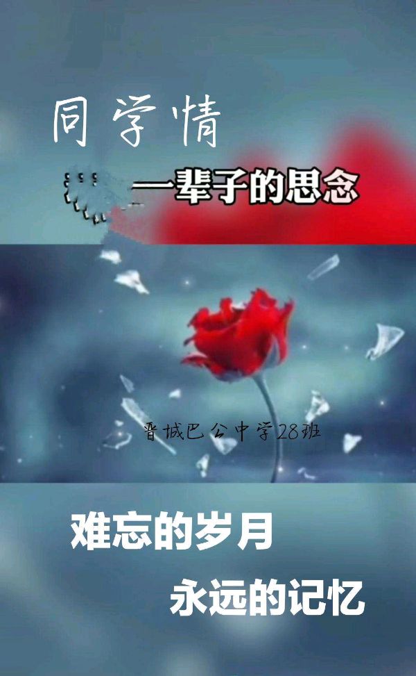 【新山东文学社】《古稀良会话同窗（十二首）》作者/江淮闲客 主播/天空（图8）