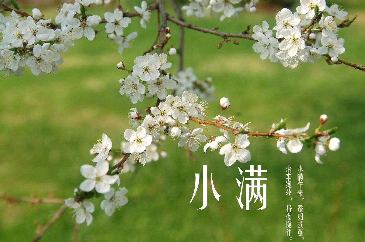 【神州源流诗苑】第1177期优秀近体诗《都市头条》周刊（图4）