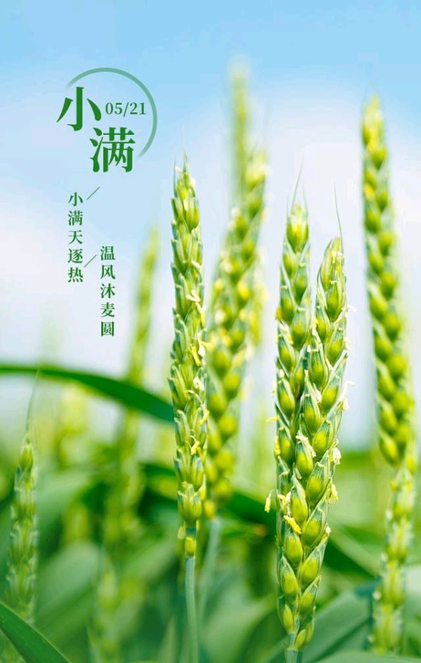 【神州源流诗苑】第1177期优秀近体诗《都市头条》周刊（图7）