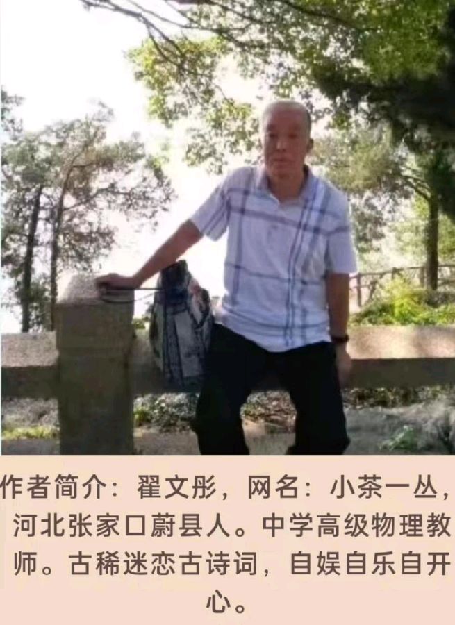 【荣耀中国】小茶一丛题图诗第33期（图23）