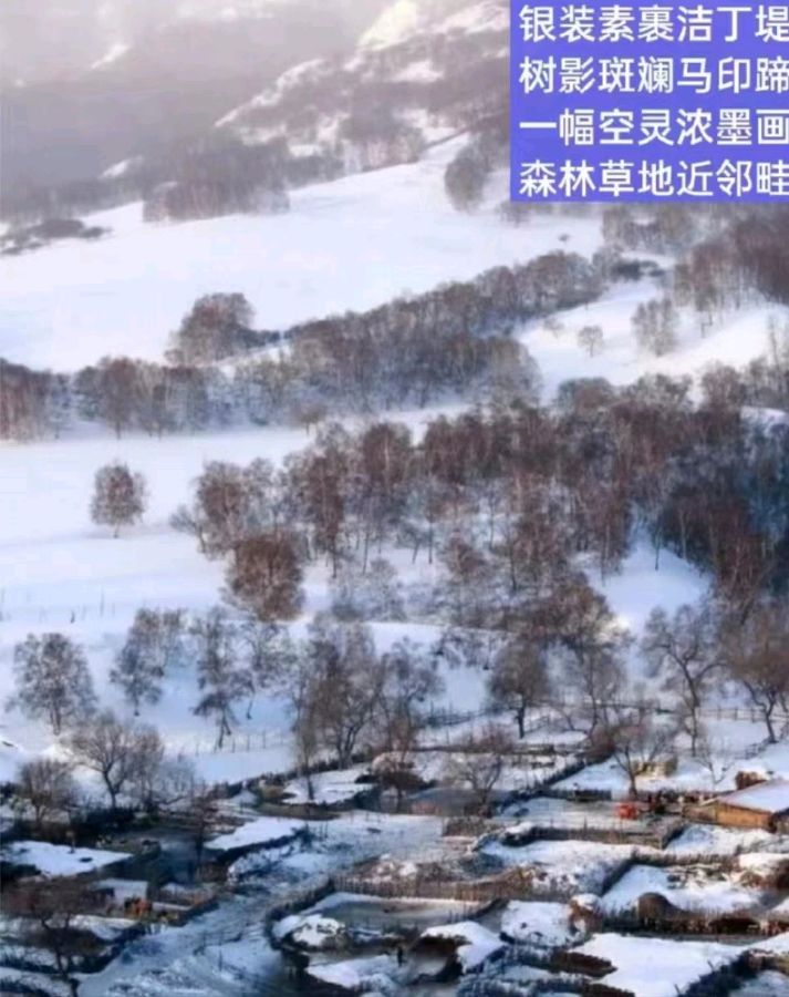 【荣耀中国】小茶一丛题图诗第33期（图19）