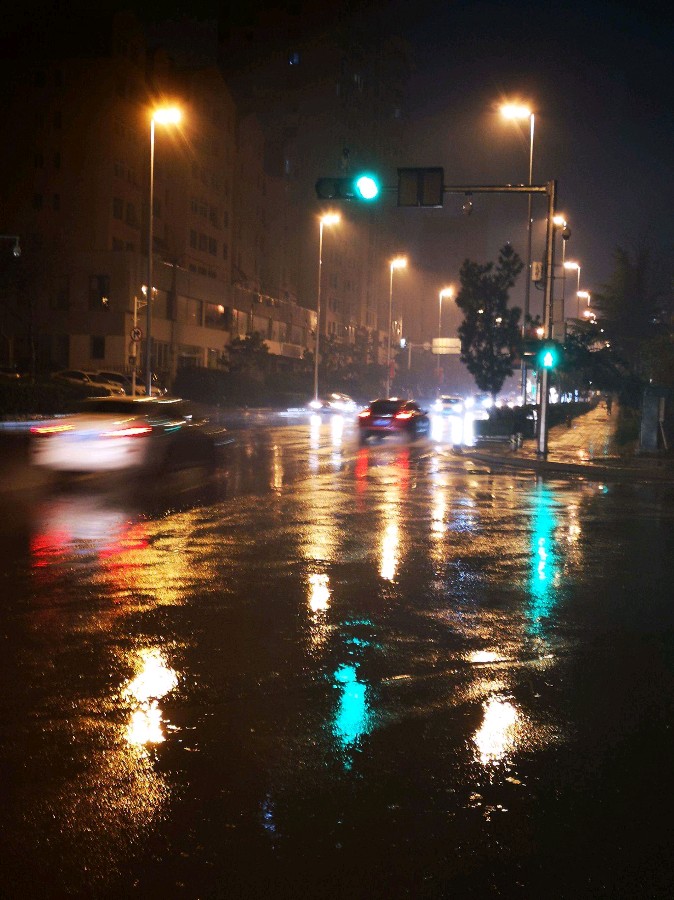 【新山东文学社】《初夏雨夜》作者/春韵 主播/菊心拾雨（图4）