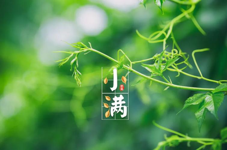 【新诗大观】小满必须外溢||文/姚元霞（图2）
