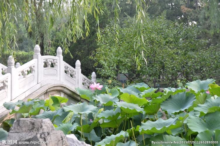 【明心文学】王宽喜/七律六首 主播/薇薇（图6）