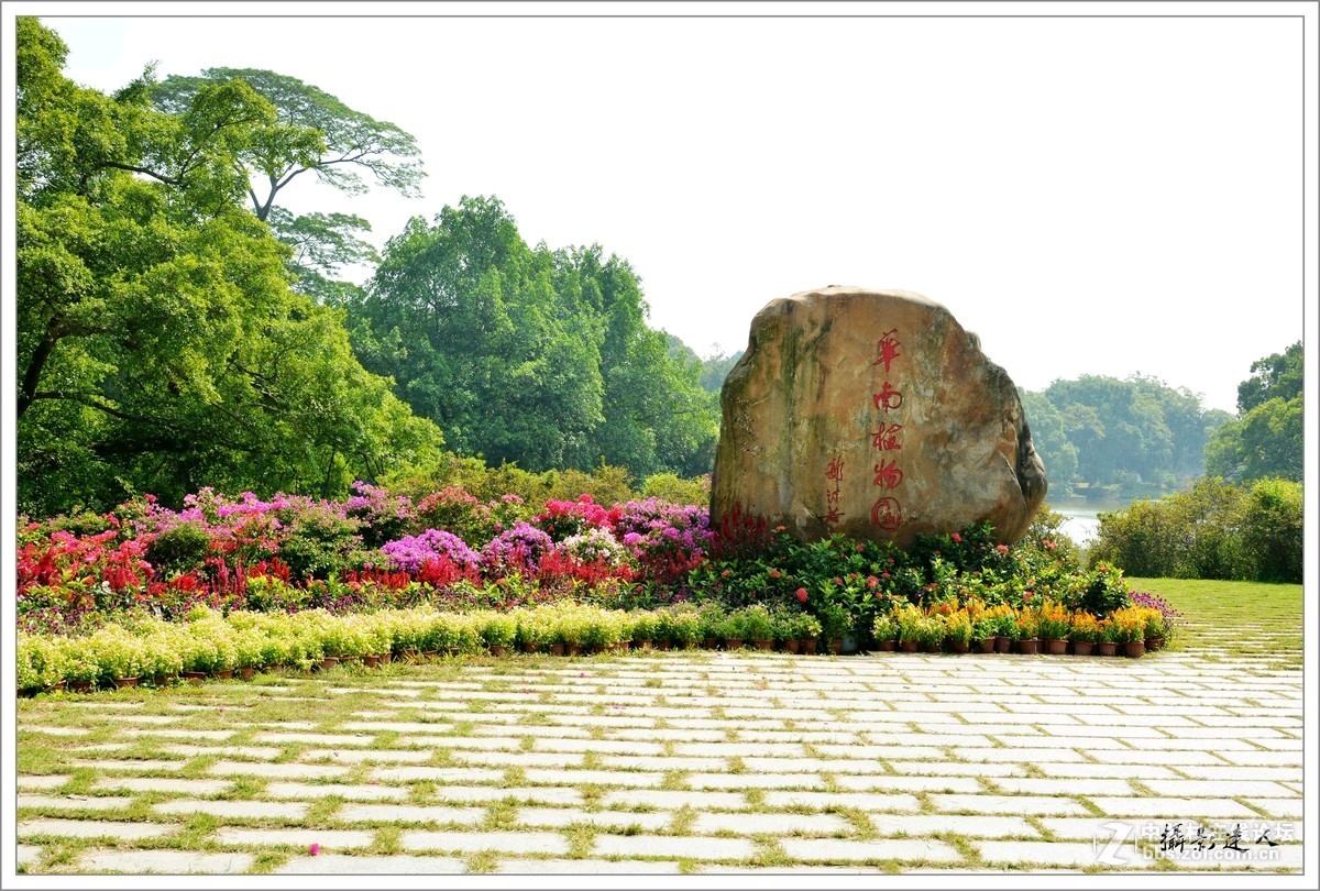 颀赏培林老师七言诗两首.醉迷广州植物园（图2）