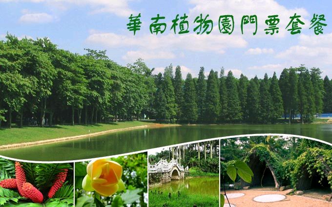 颀赏培林老师七言诗两首.醉迷广州植物园（图4）