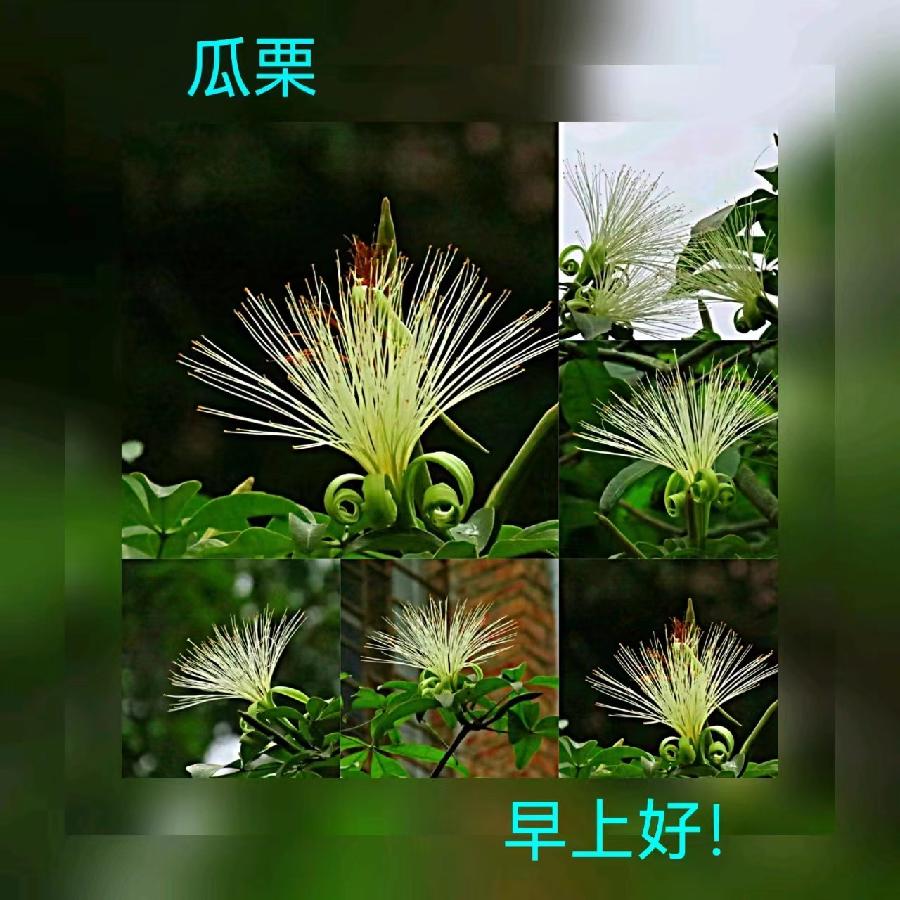 联机全球发布马洪武作品欣赏（图45）