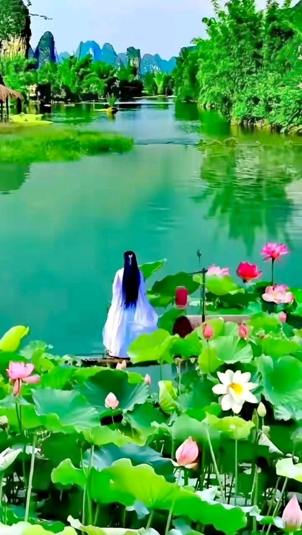 李德江老师的诗歌《我和你春的感受》主播：阿红；编辑：香乡【书香雅韵】（第79期）（图4）