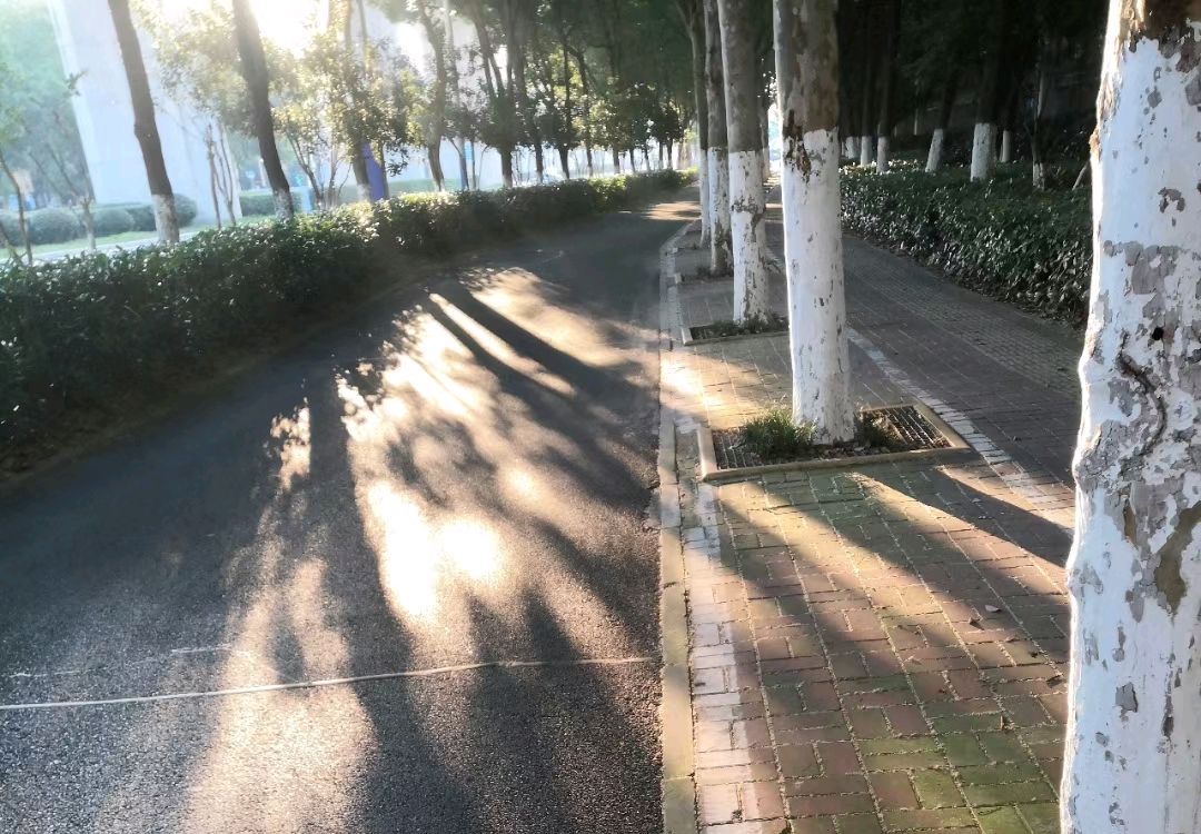 影 像