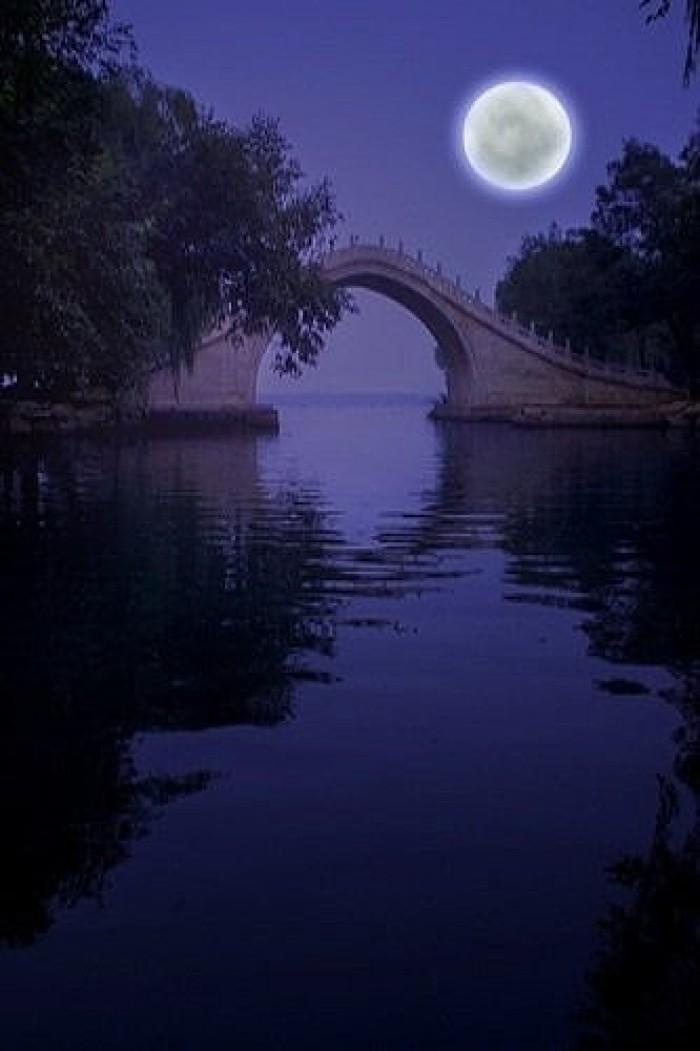 七律·月夜闲吟（文/韩满林）……莲叶之珠文学社（图3）