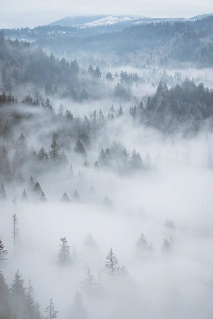 夏雾赋（文/孙述考）……莲叶之珠文学社（图3）