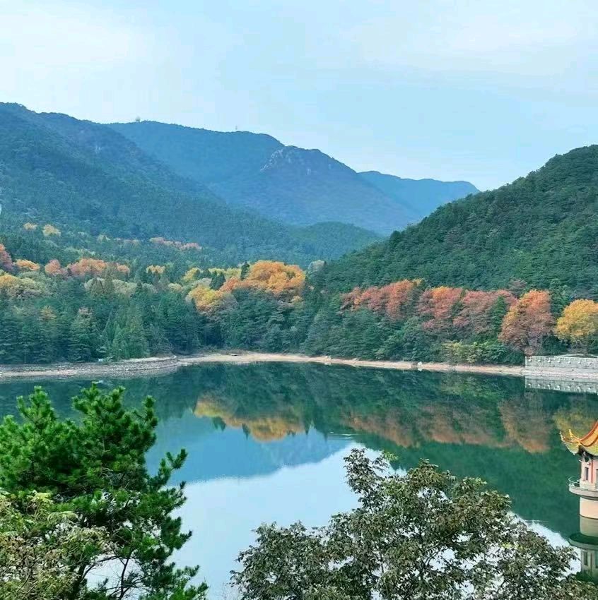 作者：杨苏之《路上的风景》（组诗专辑）1083期~新京都文艺（图7）