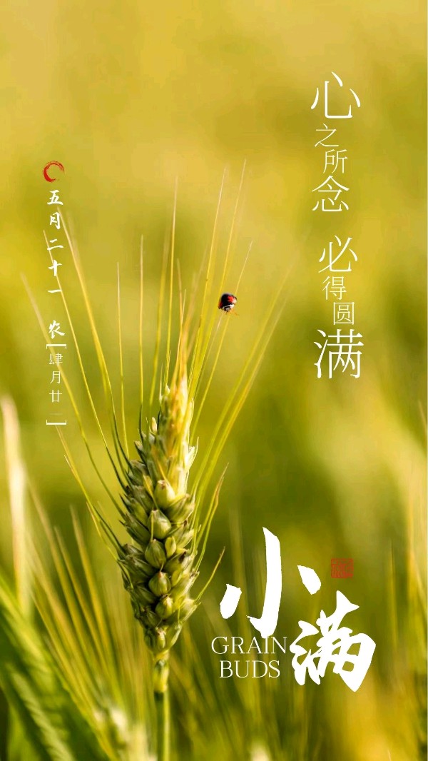 【诗生活】古韵飘香 135 期（图2）