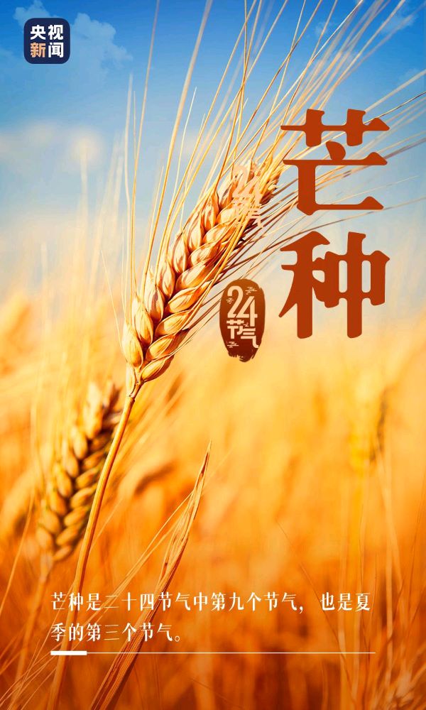你好*芒种、你好*每一天 ‖ 作者/雷金钟 朗诵/弘华（图11）