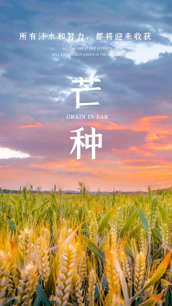 你好*芒种、你好*每一天 ‖ 作者/雷金钟 朗诵/弘华（图7）