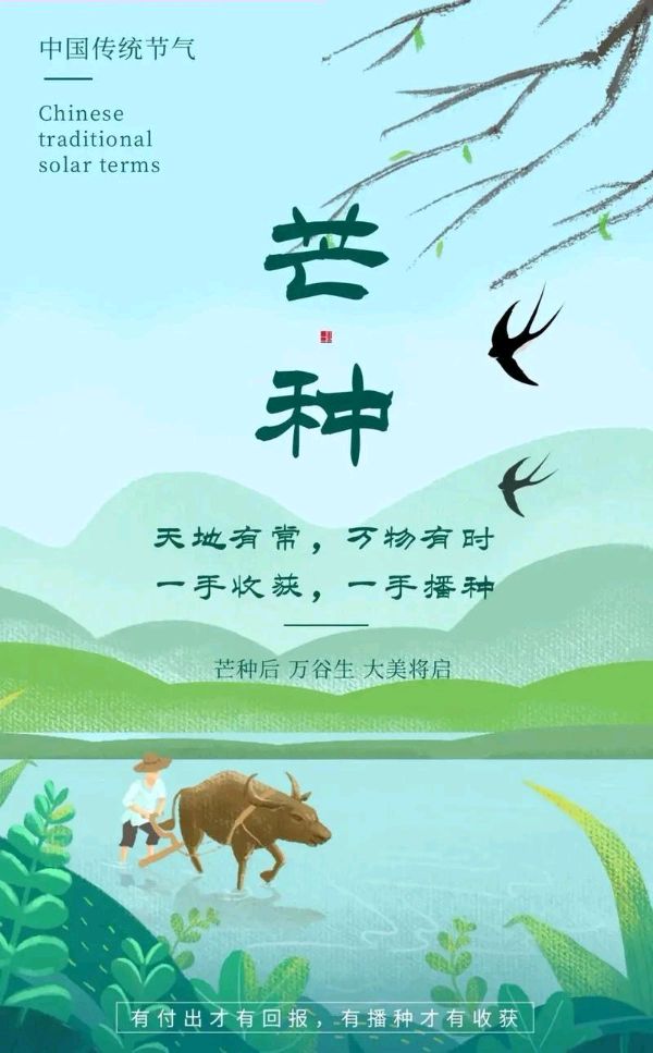 你好*芒种、你好*每一天 ‖ 作者/雷金钟 朗诵/弘华（图10）
