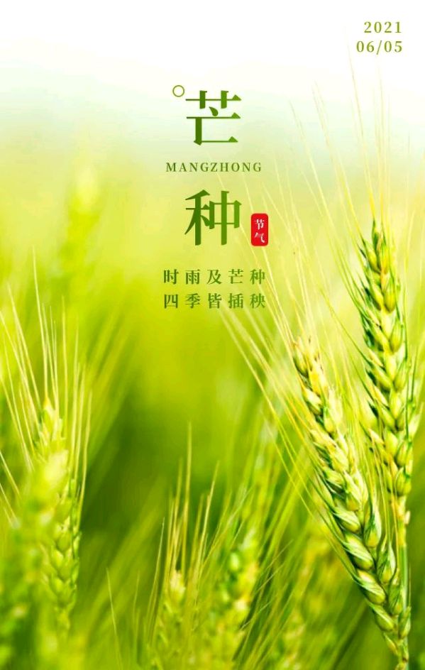 你好*芒种、你好*每一天 ‖ 作者/雷金钟 朗诵/弘华（图8）