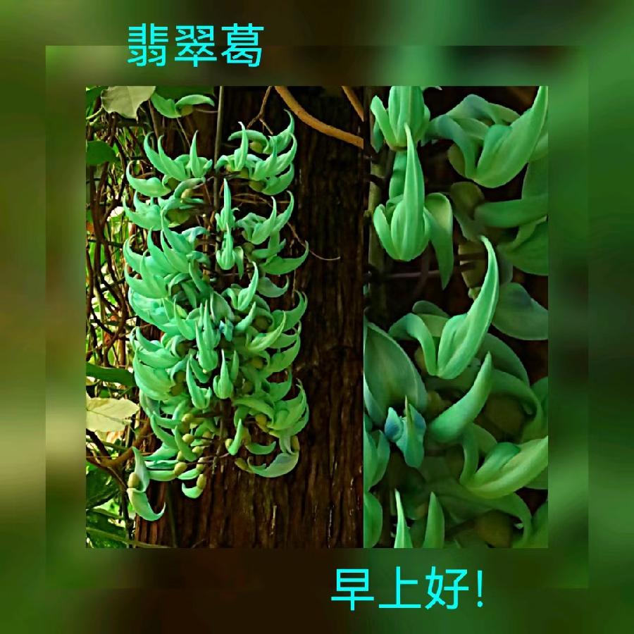 联机全球发布马洪武作品欣赏（图42）