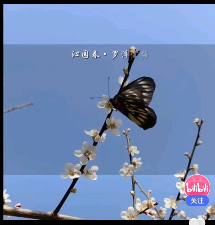 闫明辉作品 邂逅 倾情朗诵 万娟（图2）