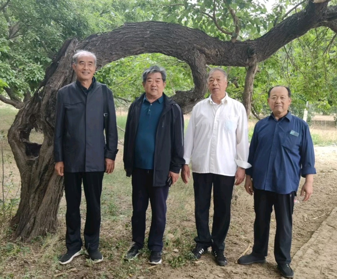 情系古桑园：中华诗经阁采风团走进献县孟各庄古桑园｜诗-联-画-文-图片-视频展播（图7）