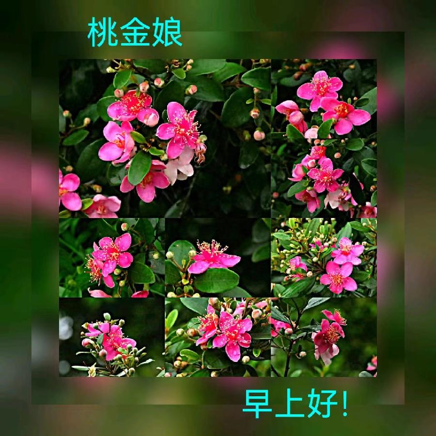 联机全球发布马洪武作品欣赏（图40）