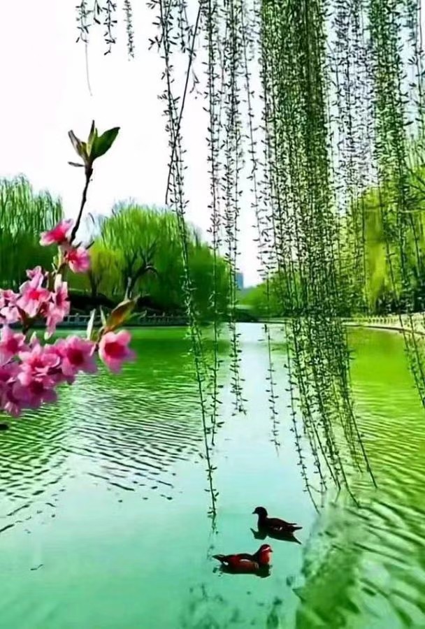联机全球发布马洪武作品欣赏（图39）