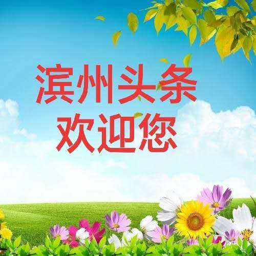 【美诗赏评】七律•神州夏情美 (36首) 文/画屏墨语(图15)