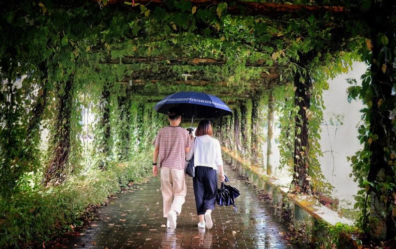 【向往】文/边缘村夫‖诵/雪花飞舞【采菊文苑美文美诵】总8030期（图6）