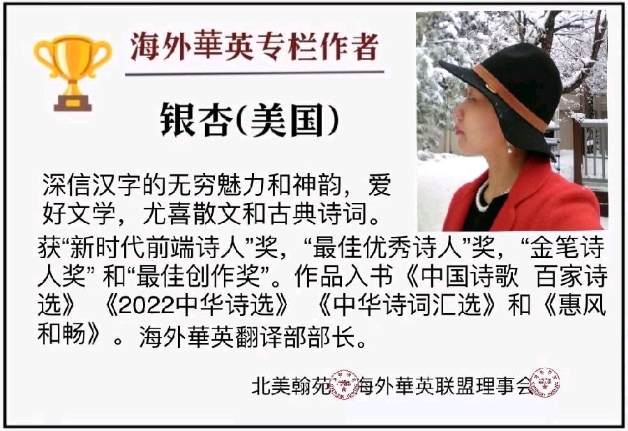 双语诗《永恒的爱》——祝北美翰苑五周年诗歌晚会大联欢 作者/爱百合 英译/银杏(北美)双语朗诵/薇薇(中国香港)【美国头条】（图3）