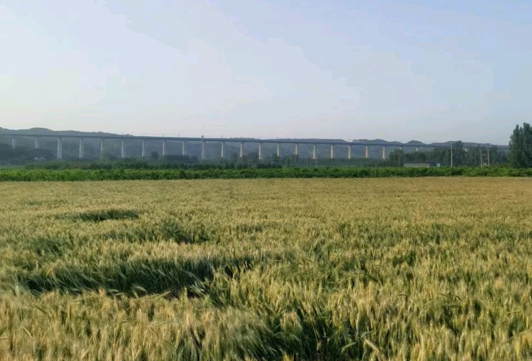 挖土的记忆（图2）