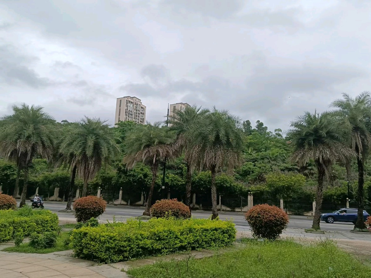 作者：李宝石《城市森林》10126期~新京都文艺（图4）