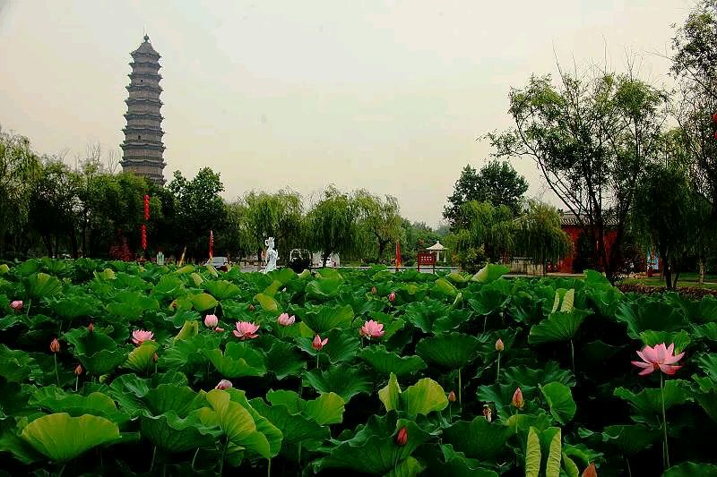 《现代诗词新品赏析》作者:张洪斌 配乐:《诗画音乐》 [中国现代诗歌文化传媒]（图7）