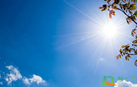 【英国文学】精品朗诵《一个人的夏天》（外二首）作者｜黄文江、朗诵｜薇薇（图3）