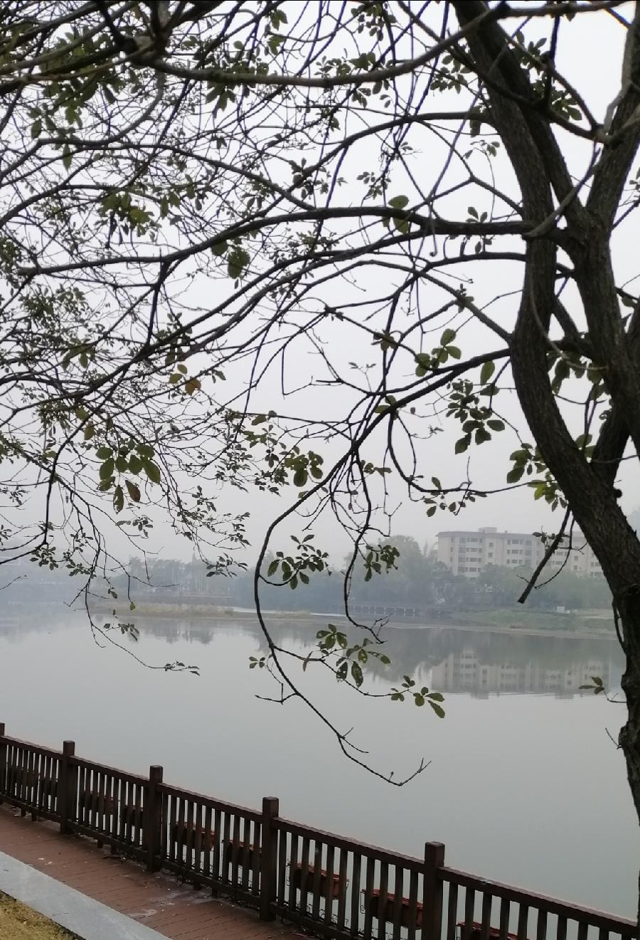 七绝 无题（三首）文／江冲（图6）
