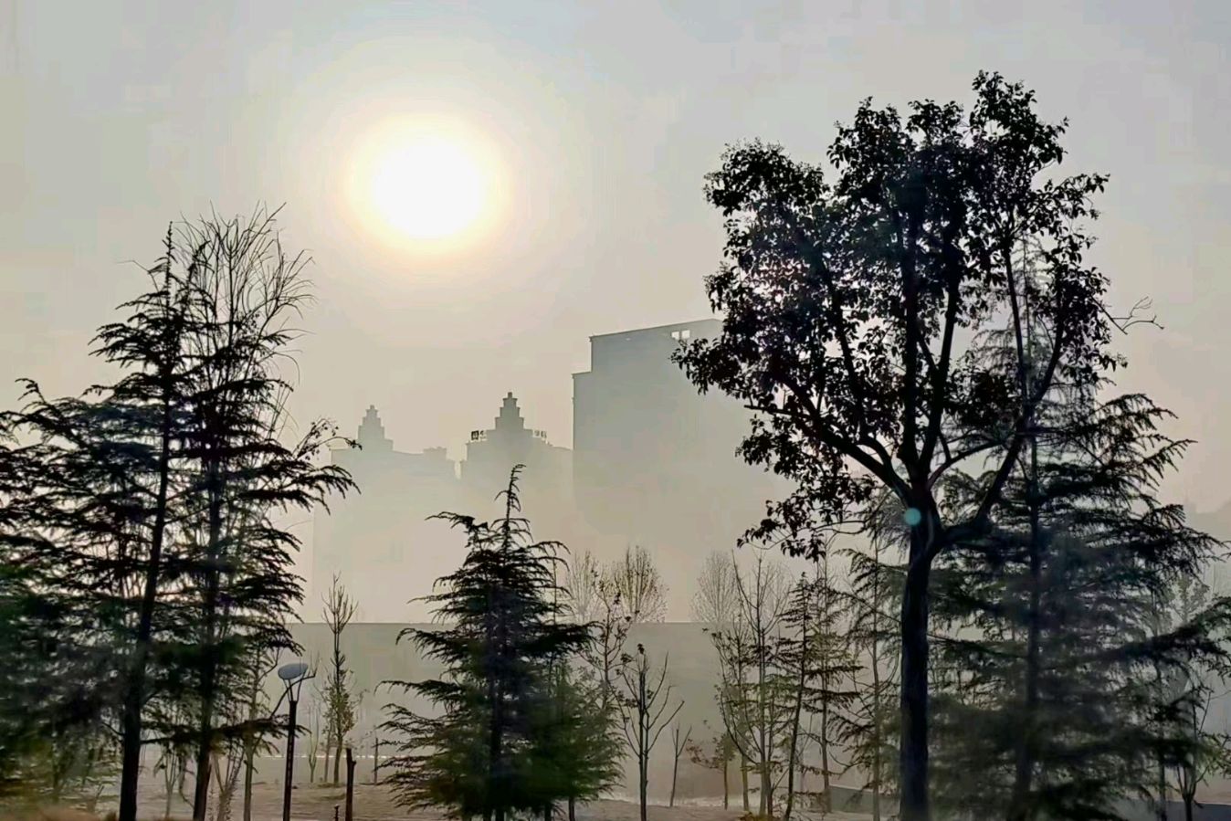联机全球发布马洪武作品欣赏（图33）