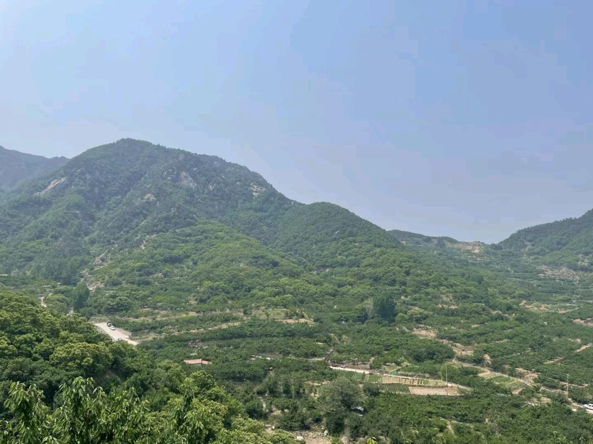 作者：王炳纯《七绝·夏日偶吟》10160期~新京都文艺（图3）